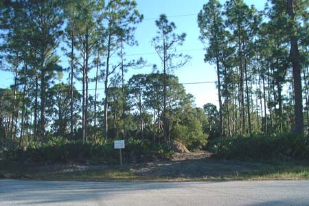 Property Construction Entrance