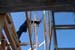 There really are sky hooks